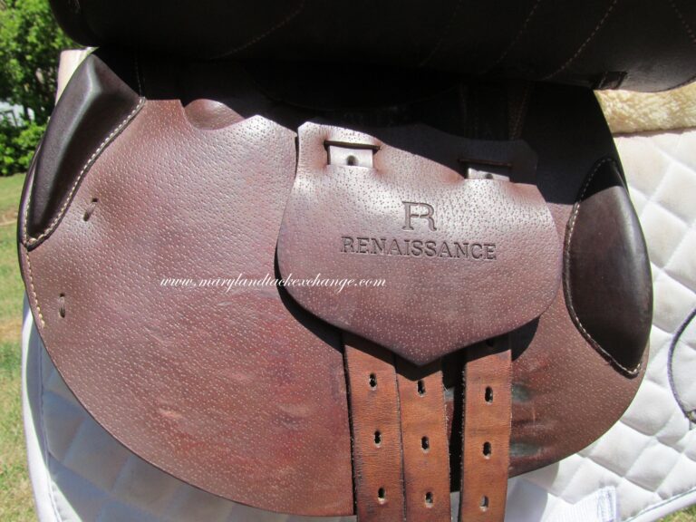 17" Prestige Renaissance M, Medium Tree (2022 Model) - Image 3