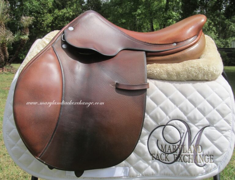 16.5" Hermes Oxer, Narrow Tree