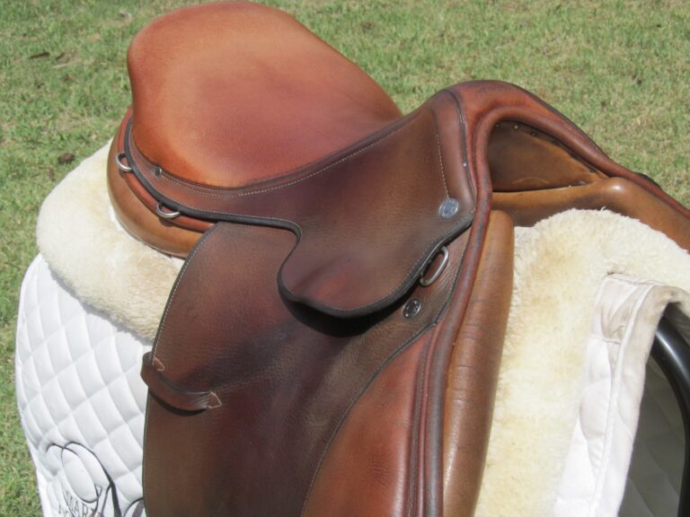 16.5" Hermes Oxer, Narrow Tree - Image 10