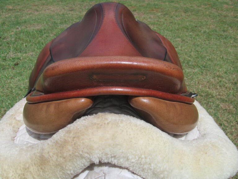 16.5" Hermes Oxer, Narrow Tree - Image 11