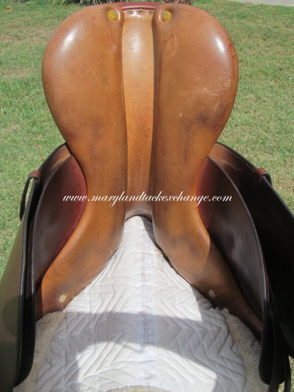 16.5" Hermes Oxer, Narrow Tree - Image 12