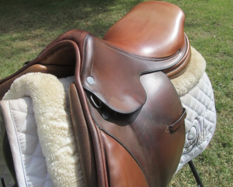 16.5" Hermes Oxer, Narrow Tree - Image 2