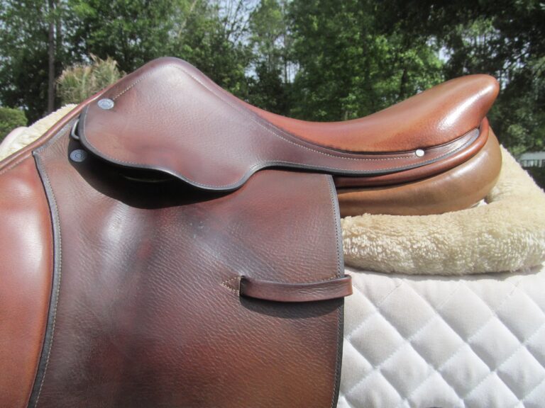 16.5" Hermes Oxer, Narrow Tree - Image 3