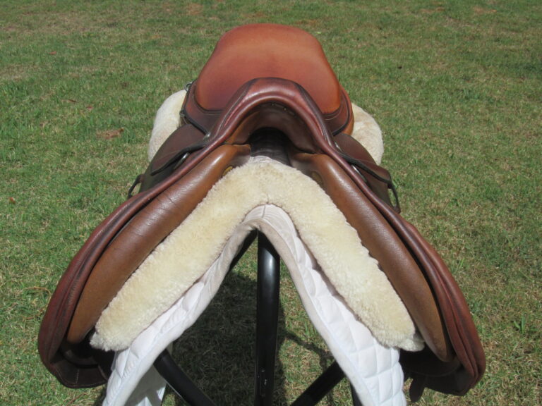 16.5" Hermes Oxer, Narrow Tree - Image 6