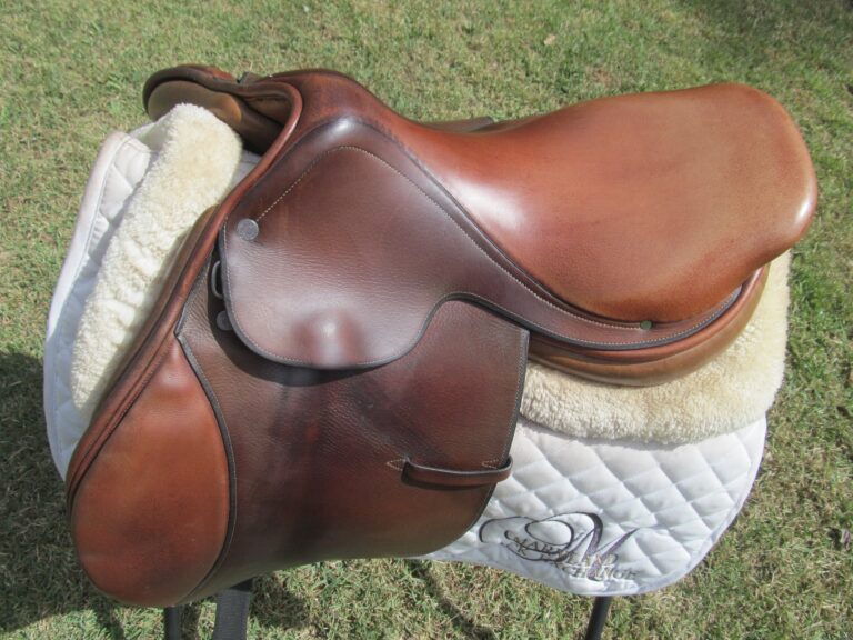 16.5" Hermes Oxer, Narrow Tree - Image 7