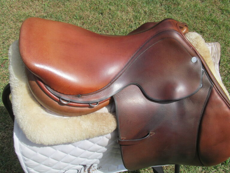16.5" Hermes Oxer, Narrow Tree - Image 8