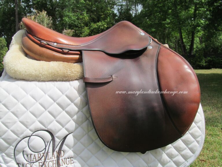 16.5" Hermes Oxer, Narrow Tree - Image 9