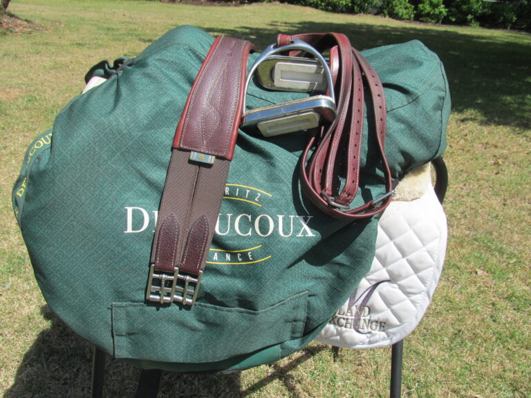 17.5" Devoucoux Enara, Medium Tree (2024 Model, Accessories Included) - Image 12