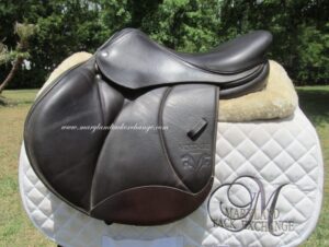 15.5" Voltaire Palm Beach Buffalo, Medium/Wide Tree (2022 Model)