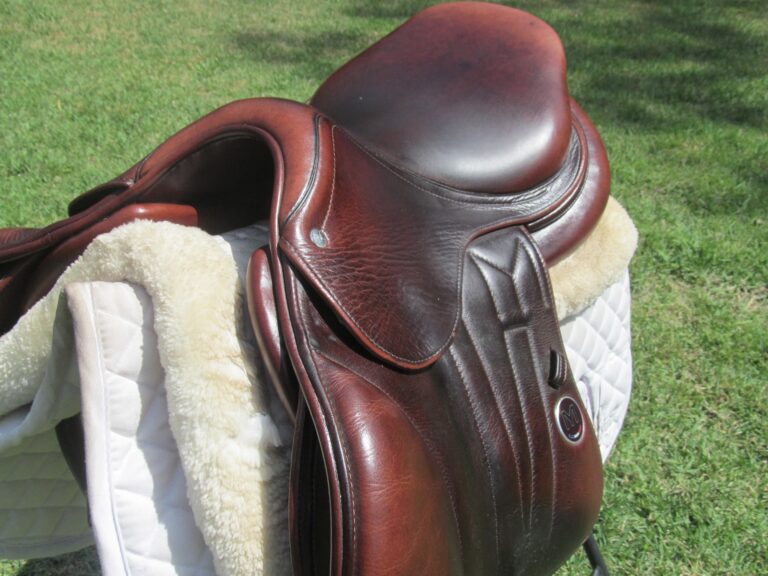 17/17.5" Meyer Calfskin, Medium/Wide Tree (2023 Model) - Image 2