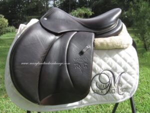 16.5" Voltaire Palm Beach Buffalo, Medium Tree (2021 Model)