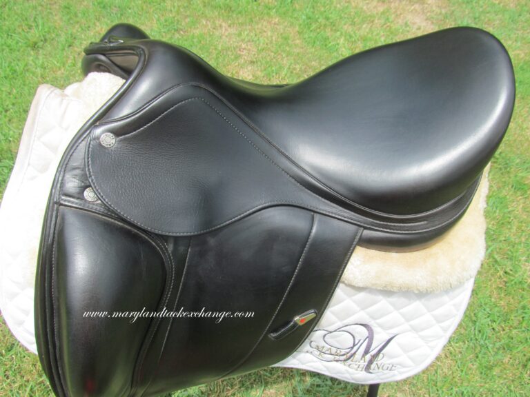 17" Equipe Karina Monoflap, Wide Tree (2020 Model) - Image 5