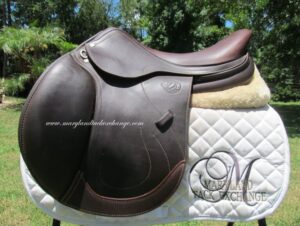18" Antares Skylla, Medium Tree (2023 Model)