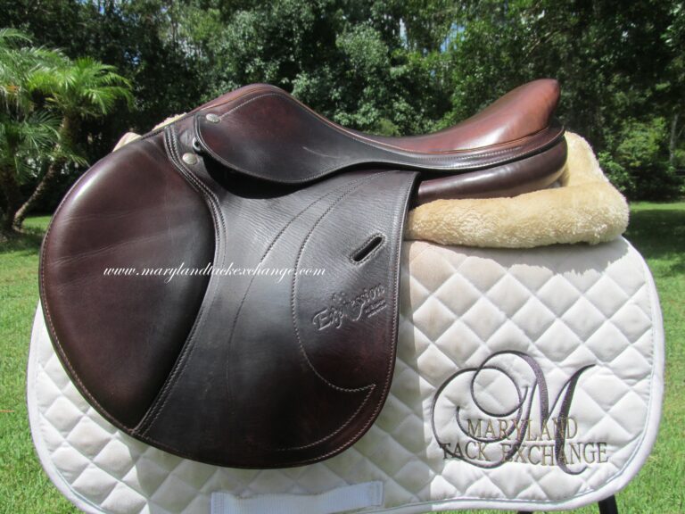 15.5" Equipe Expression, Wide Tree (2016 Model)