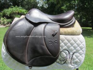 16.5" Voltaire Palm Beach Buffalo, Medium Tree (2025 Model)