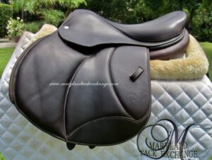 16" Voltaire Palm Beach Buffalo, Medium/Wide Tree (2024 Model)