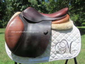 17" CWD SE01, Medium Tree