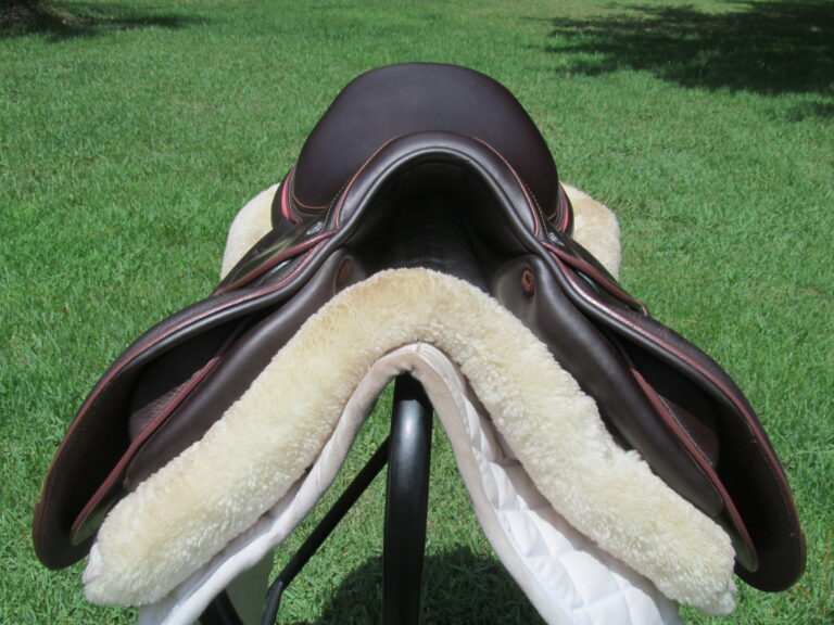 15.5" Devoucoux Biarritz K Buffalo, Wide Tree (2023 Model) - Image 5