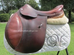 17.5" Hermes Brasilia, Narrow Tree