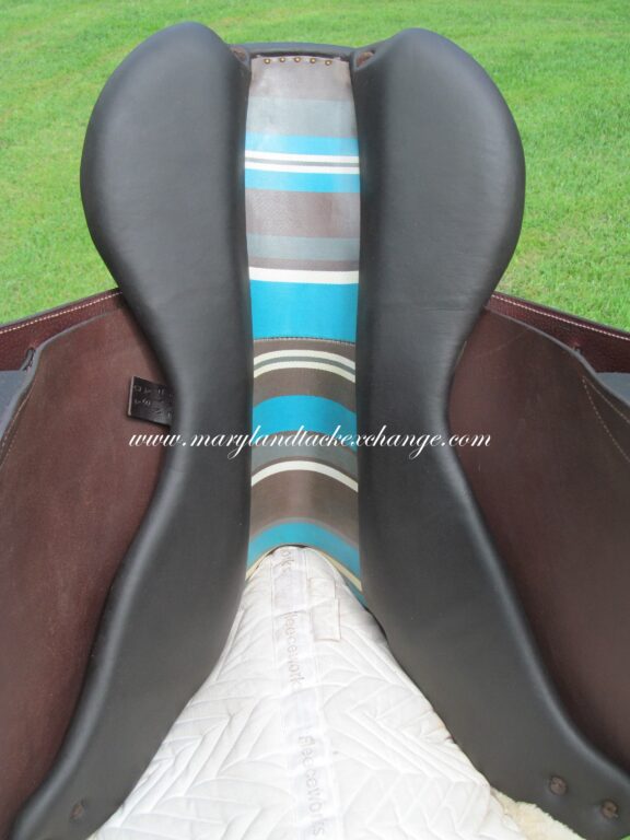 17" Voltaire Palm Beach Buffalo (Brand New), Medium Tree (2021 Model) - Image 11