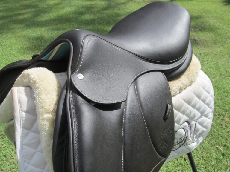 17" Voltaire Palm Beach Buffalo (Brand New), Medium Tree (2021 Model) - Image 2