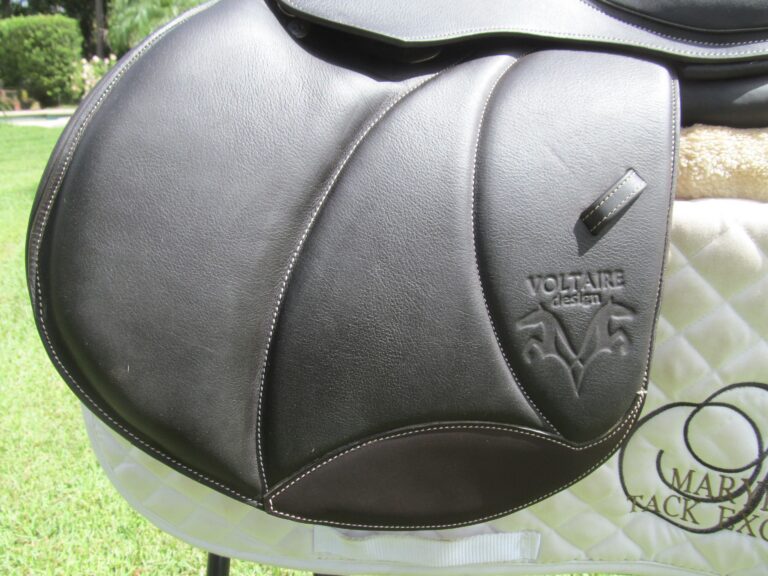 17" Voltaire Palm Beach Buffalo (Brand New), Medium Tree (2021 Model) - Image 3