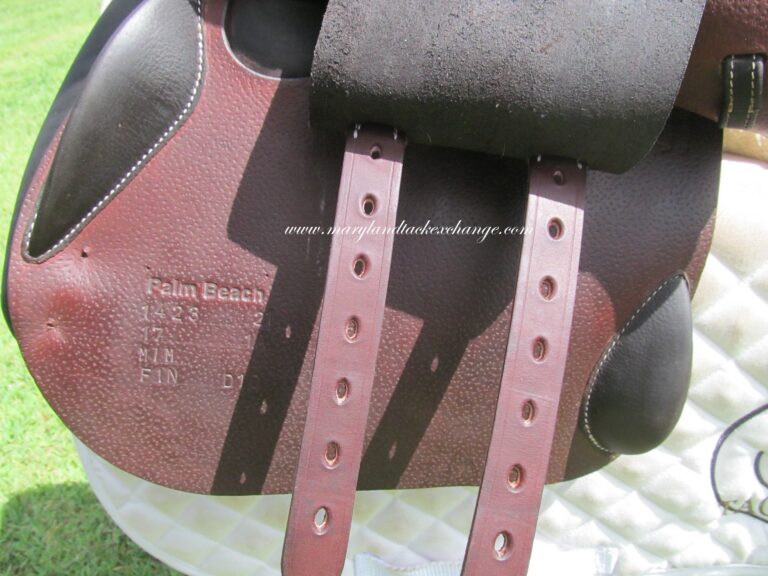 17" Voltaire Palm Beach Buffalo (Brand New), Medium Tree (2021 Model) - Image 4
