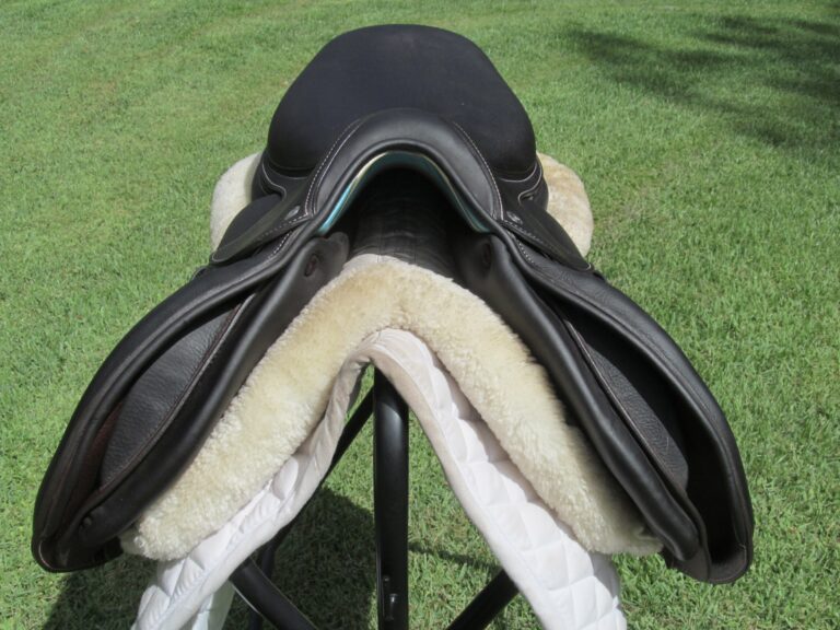 17" Voltaire Palm Beach Buffalo (Brand New), Medium Tree (2021 Model) - Image 7