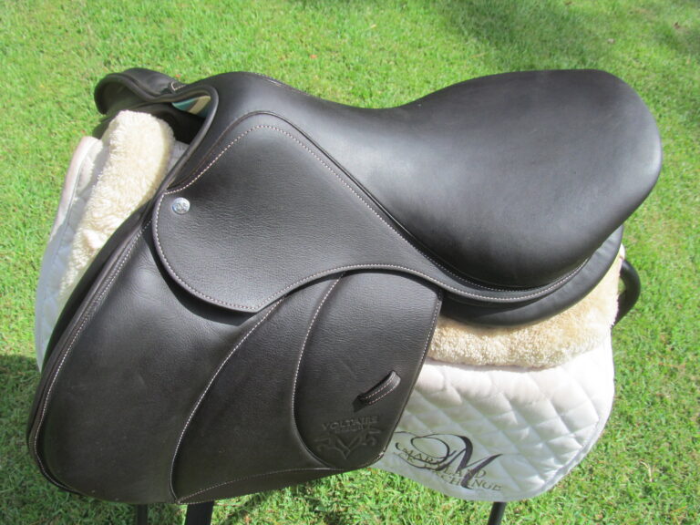 17" Voltaire Palm Beach Buffalo (Brand New), Medium Tree (2021 Model) - Image 8