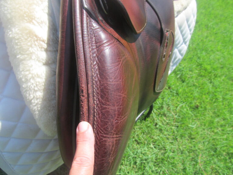 18" Antares Evolution D, Medium Tree (2024 Model) - Image 3