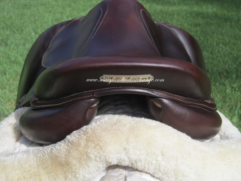 16.5" Antares Contact Calf (Integrated Panels), Medium/Wide Tree (2021 Model) - Image 10