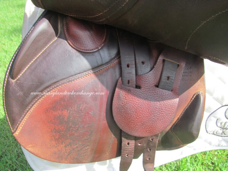 16.5" Antares Contact Calf (Integrated Panels), Medium/Wide Tree (2021 Model) - Image 3