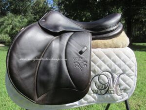 17.5" Voltaire Palm Beach Buffalo, Medium/Wide Tree (2022 Model)