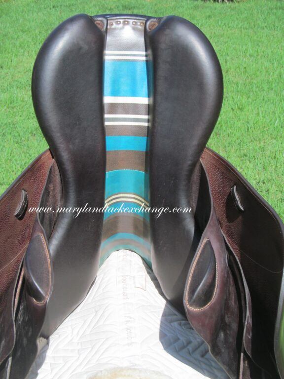 17.5" Voltaire Palm Beach Buffalo, Medium/Wide Tree (2022 Model) - Image 11