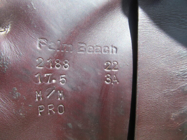 17.5" Voltaire Palm Beach Buffalo, Medium/Wide Tree (2022 Model) - Image 5