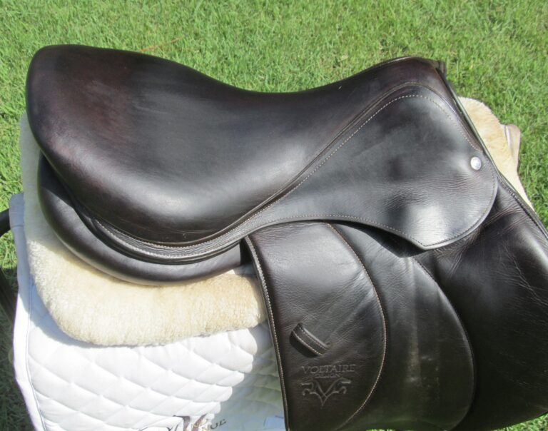 17.5" Voltaire Palm Beach Buffalo, Medium/Wide Tree (2022 Model) - Image 7