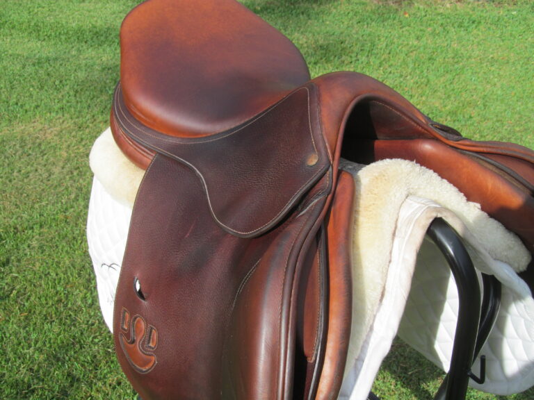 18.5" Bruno Delgrange Virtuose, Medium Tree (2021 Model) - Image 10