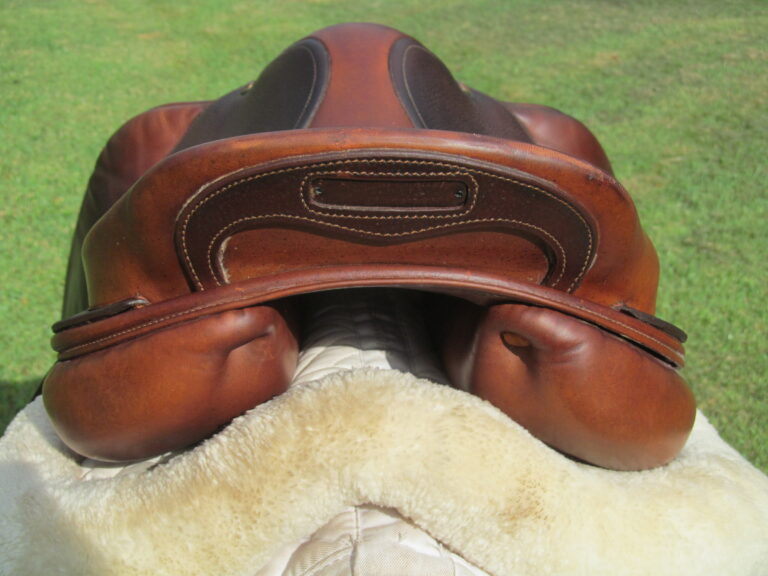18.5" Bruno Delgrange Virtuose, Medium Tree (2021 Model) - Image 11