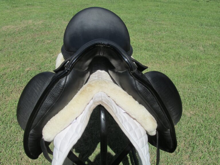 18" Custom Saddlery Icon Star Buffalo, Medium/Wide Tree (2022 Model) - Image 3
