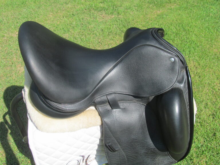 18" Custom Saddlery Icon Star Buffalo, Medium/Wide Tree (2022 Model) - Image 4