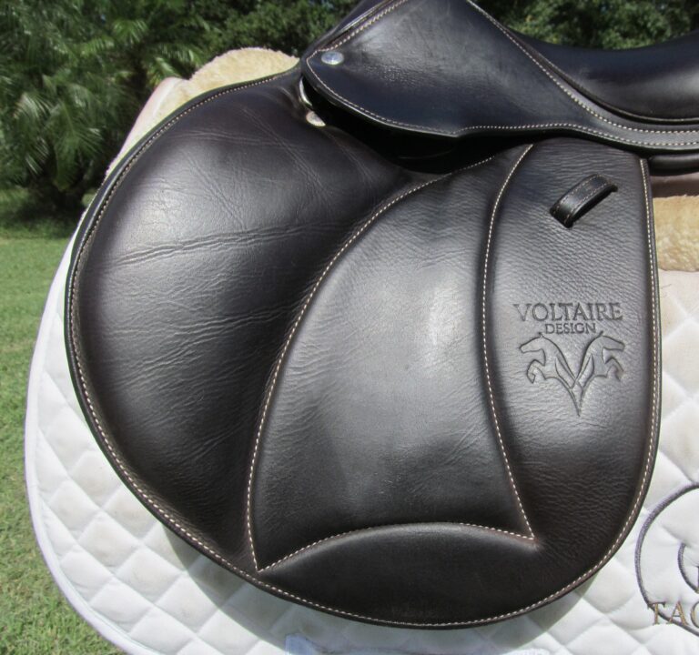 15.5" Voltaire Welli Buffalo, Medium/Wide Tree (2023 Model) - Image 2