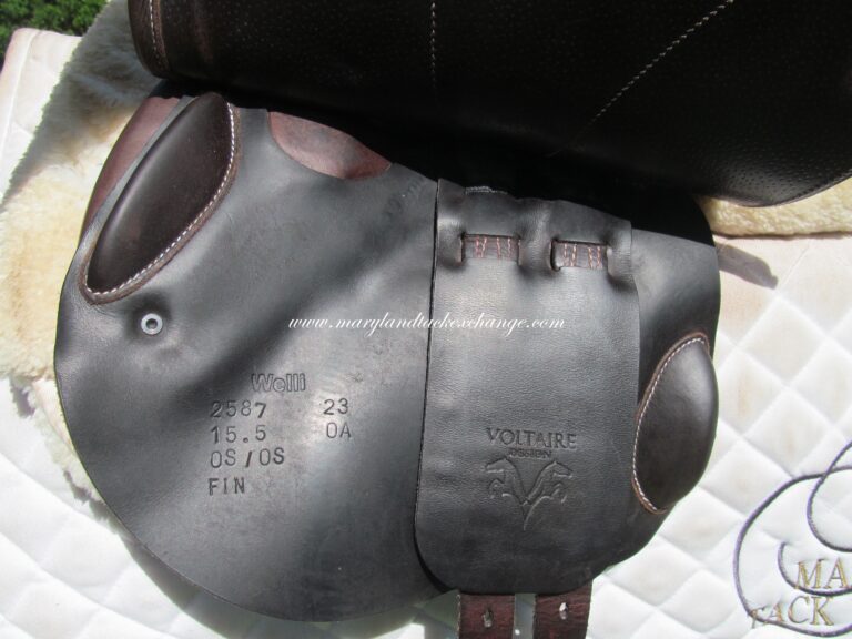 15.5" Voltaire Welli Buffalo, Medium/Wide Tree (2023 Model) - Image 3