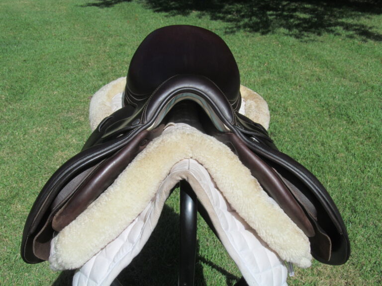 15.5" Voltaire Welli Buffalo, Medium/Wide Tree (2023 Model) - Image 5