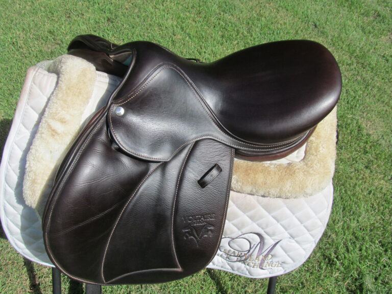 15.5" Voltaire Welli Buffalo, Medium/Wide Tree (2023 Model) - Image 6