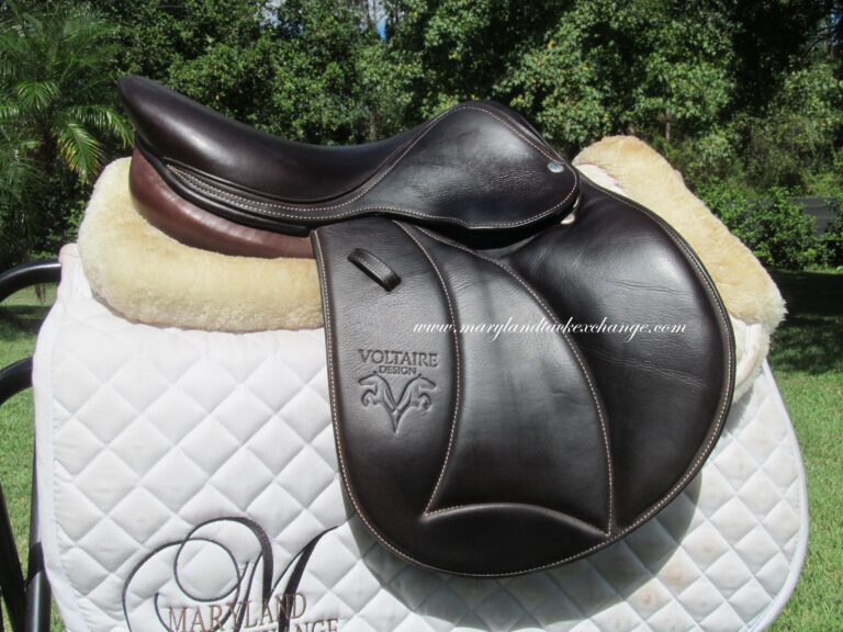 15.5" Voltaire Welli Buffalo, Medium/Wide Tree (2023 Model) - Image 8