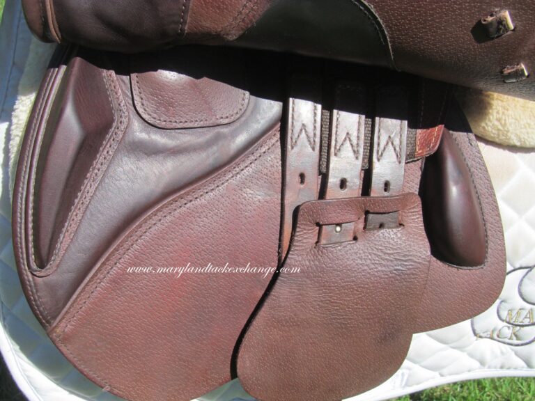 16.5" Prestige Rubino, Medium Tree (2025 Model) - Image 3