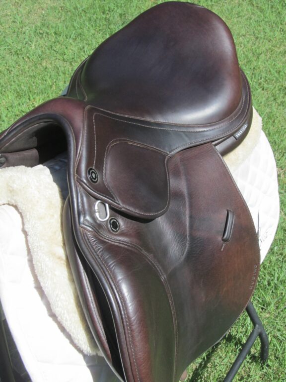 16.5" Prestige Rubino, Medium Tree (2025 Model) - Image 6