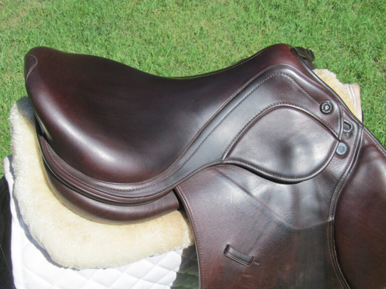 16.5" Prestige Rubino, Medium Tree (2025 Model) - Image 7