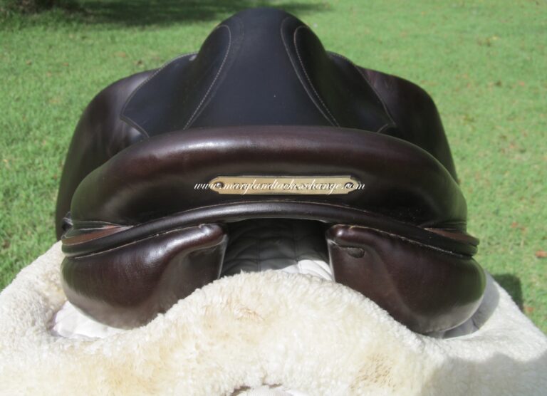 17.5" Voltaire Palm Beach Calf, Medium Tree (2014 Model) - Image 10